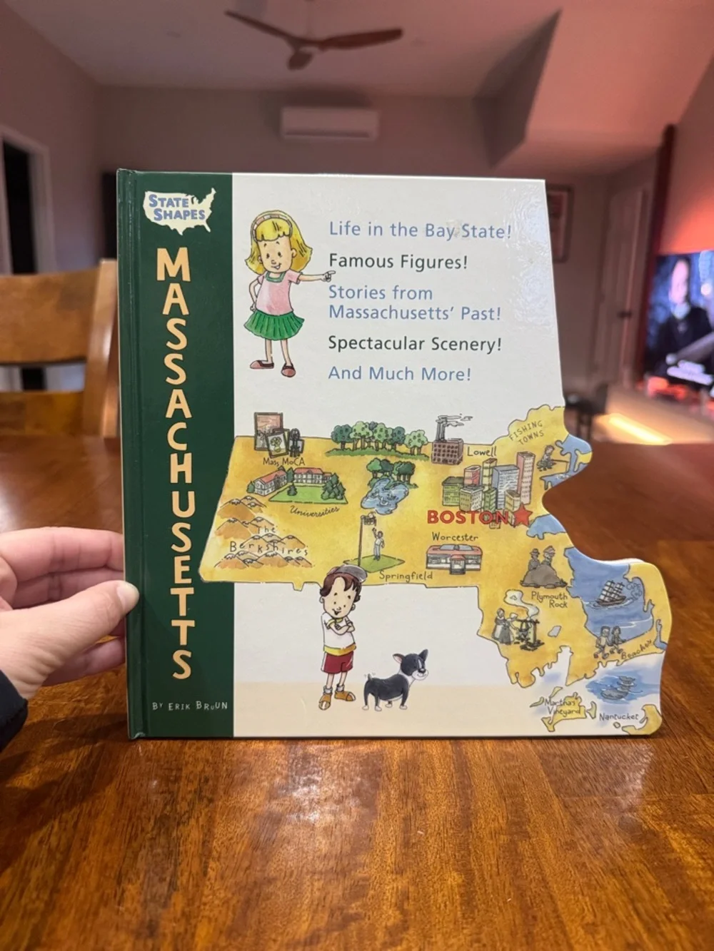 Massachusetts State Shapes Children's Book - Green Cover